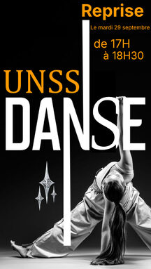 affiche danse REPRISE.jpg