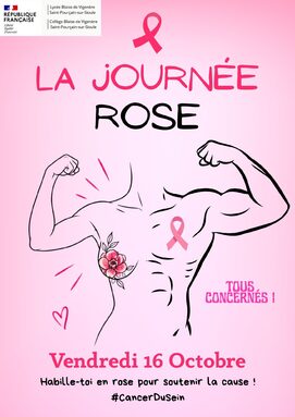 Story Instagram Octobre Rose Moderne Rose.jpg